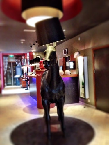 Op zoek naar een hotel voor onze medewerkers  staat daar gewoon een paard in de gang