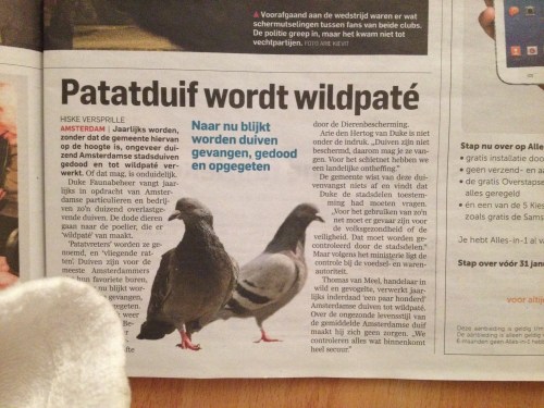 de krantenkop van vandaag. Heb je wel eens goed bekeken die manke van ongedierte vergeven duiven van de stad? Ik eet in ieder geval geen wildpaté meer.