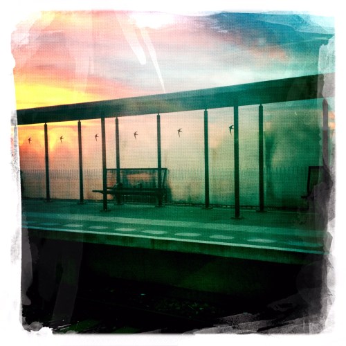 Onderweg gewoon in de wilde weg foto's maken. Er is er altijd wel eentje raak. 