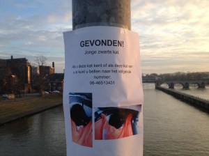 wie mist de zwarte kat?