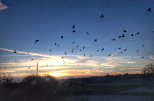Het lawaai van de trein laat ze opvliegen terwijl ik probeer de zonsopgng vast te leggen. Het plaatje is af. 