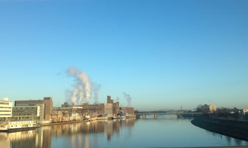 Rimpelloos oppervlak, witte pluimen tegen helder blauw. Goudglanzend weerspiegelend.