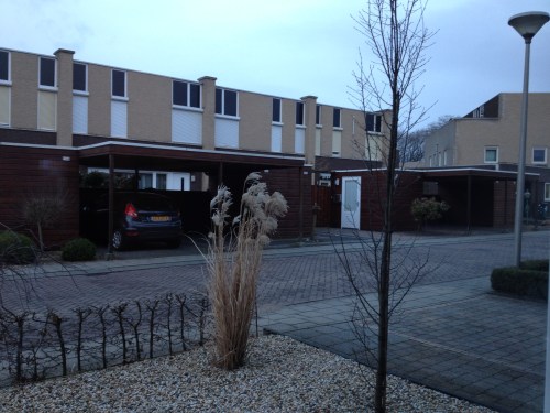 Hangen voor het keukenraam, gesloten rolluiken en stilte. Stevige wind laat siergras buigen. 