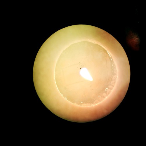 De dag afsluiten, kaarsje, glaasje wijn en plog...Morgen een dag vol activiteit.