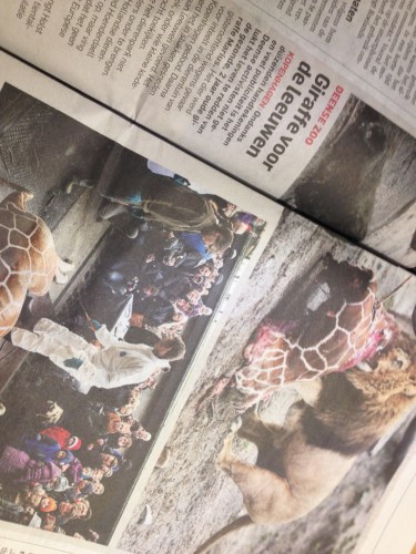 We hebben een nieuw soort infotainment. Overbodige dieren publiekelijk afmaken, fileren en daarna voor de leeuwen gooien....`Wie krijgt de ballen?'