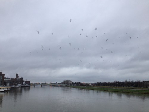 Zo vrij als een vogel, met de wind in de rug, richting station.