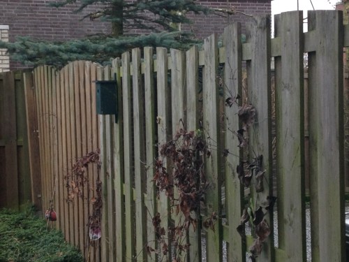 De koolmezen zijn al druk bezig met het claimen van een huis. Toen ik op de knop drukte waren ze alweer gevlogen.