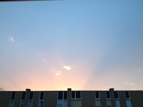 Nog een keer lucht. Nu de magische kleur van de ondergaande zon. De overburen  gaan eerdaags vast vragen stellen. Voor vandaag hou ik het voor gezien.