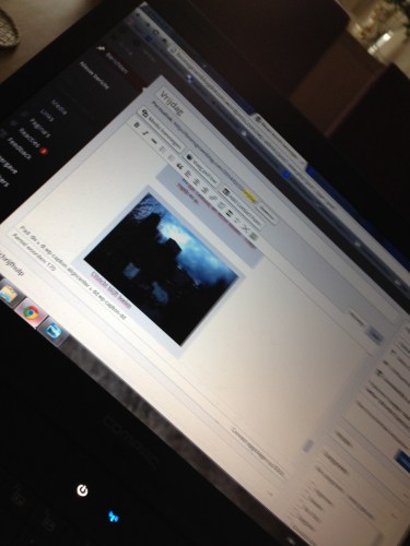 De laatste, nog in te halen, plog geplaatst en meteen besloten dat nooit meer te doen. Drie dagen inhalen is iets te veel van het goede.