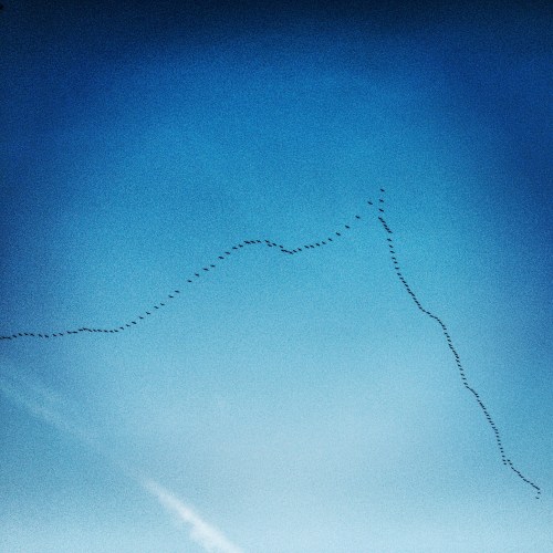 Ik zwaai ze uit...en voel me klein.