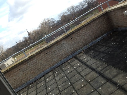 De vraag is wat we met dit terras gaan doen. Ik zie een houten vloer, giga plantenbakken en een hangmat.