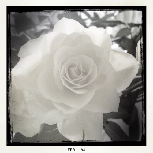 Als ik dan toch bezig ben..