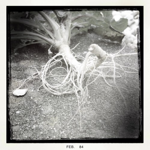 De andere kant in Hipsta zwart-wit. Scherp