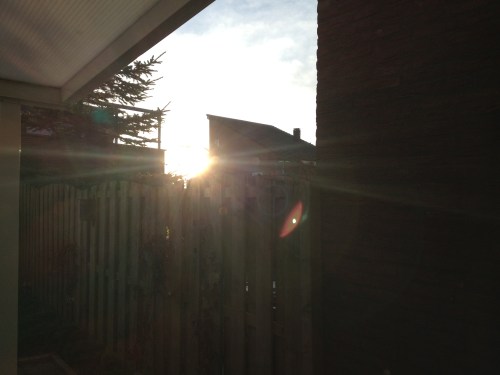 Zonnestralen vullen onze kamer met licht. Een mooi begin van de dag.