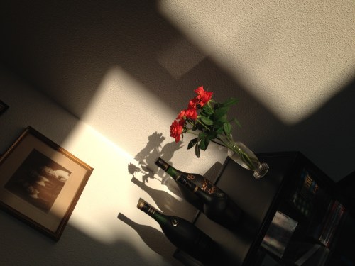 De zon die mijn favoriete hoekje laat stralen, daar word ik blij van.