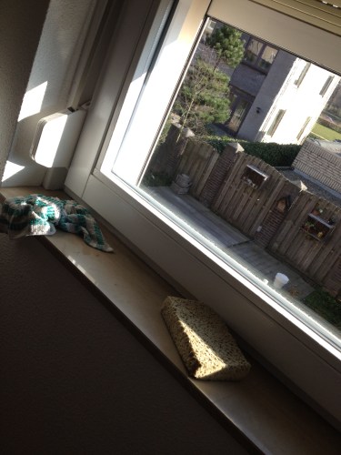 Stralende zon schreeuwt om schone ramen...nou vooruit dan.