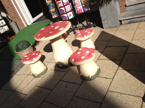 Even een rondje dorp. Bij de feestwinkel staan de paddestoelen buiten. Kabouters zijn nergens te zien