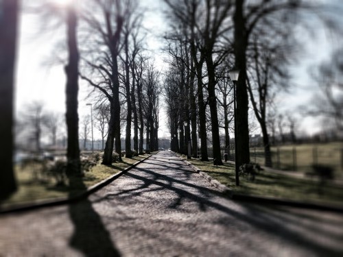 Ik ga tot het einde...zal wel moeten anders kom ik niet thuis.