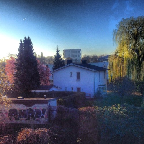 Heerlen wordt ook net iets mooier in de zon. De eerste bloesem is een feit