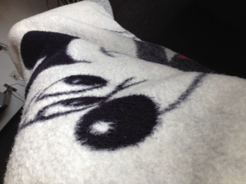 De Mickey Mouse deken, werd vroeger gebruikt voor zieke kinderen die beneden op de bank zielig lagen te zijn. Lekker warm in ieder geval.