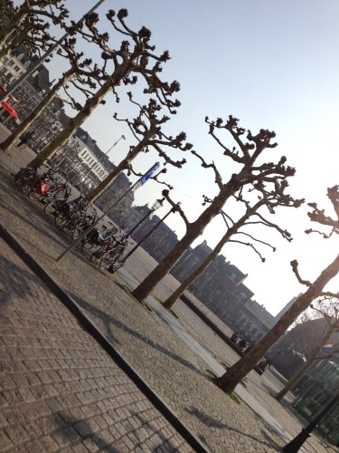 Vrijthof in de zon....