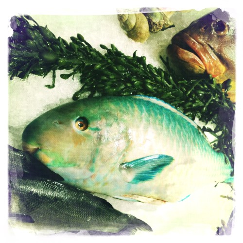 Verse vis zonder boter.