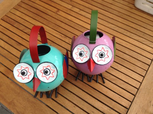 Op verzoek van zus koop ik een gieter in de vorm van een vogel en neem er meteen ook een voor mezelf mee. Wie kan zulke ogen nou weerstaan?