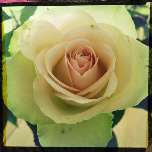 De man is nog niet zo ver, dus ik maak nog een foto. Ook mooi.