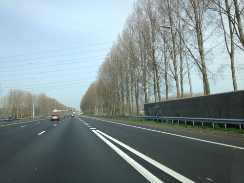 Het groene woud is helemaal niet groen