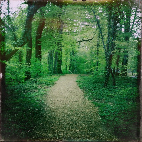 13955672822_4df5e7b2a4_b