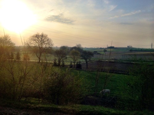 Goedemorgen Limburg! van dit uitzicht wordt een mens toch gewoon blij?