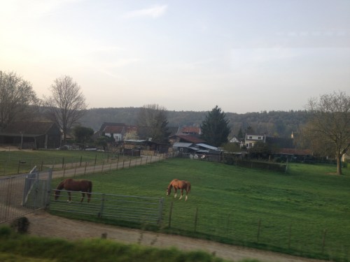 Een onbewerkte foto. Beetje scheef maar niet minder mooi.