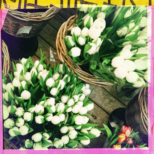 Ze hebben heel veel tulpen uit Amsterdam