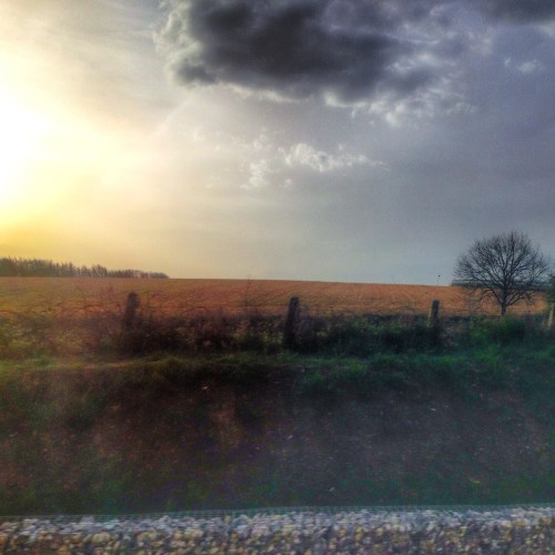 Goedemorgen Limburg!