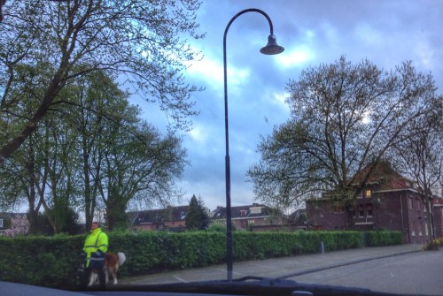 Vaste prik op dit tijdstip. Het vrouwtje met de grote hond.