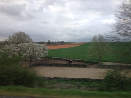 Iemand enig idee waarom deze velden zo´n rare kleur hebben?