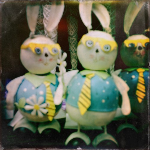 Ik zie van alles vandaag. Te beginnen bij deze bijzonder schele  paashazen.