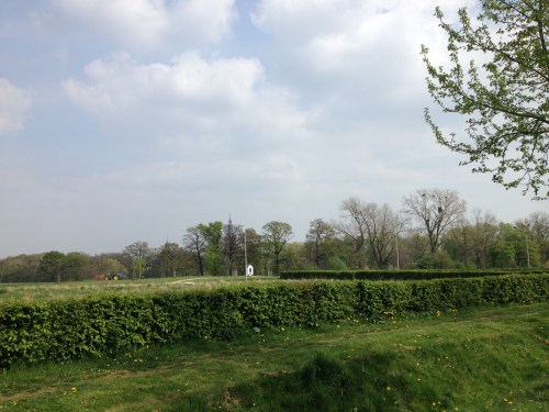 Bijna thuis. Ik bedenk dat die bomen er al stonden toen ik nog niet geboren was en er nog zullen staan als ik er al lang niet meer ben. 