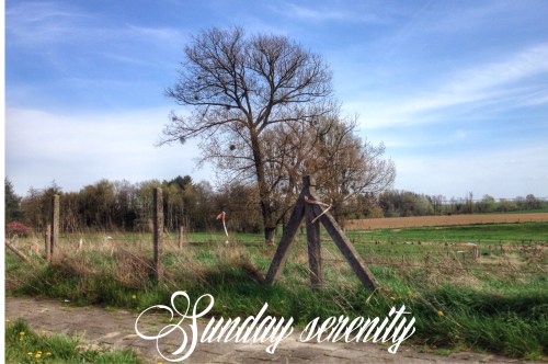 Een nieuwe app om foto´s te bewerken. Zondag is precies de juiste dag om dit soort dingen uit te proberen