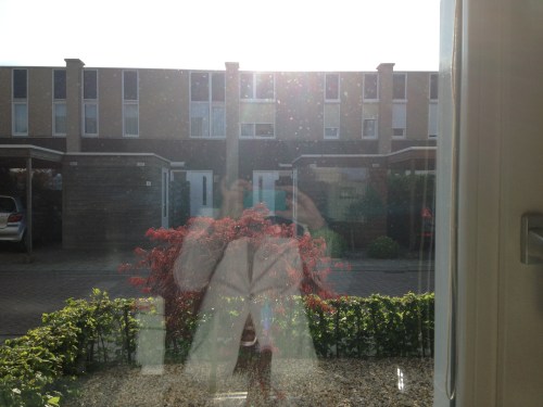 Eindelijk laat de zon zich ook weer zien. De keuken stroomt vol licht.