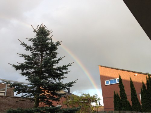 Om de dag mee af te sluiten, een regenboog. Dag dag, tot morgen.
