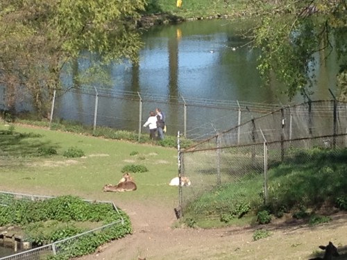 Oude bekenden ..de tijd stond even stil