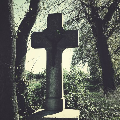 op weg naar het dorp