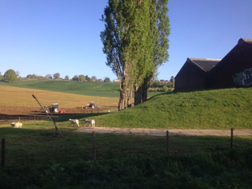 De boeren hebben het er maar druk mee terwijl de lammetjes dartelen.