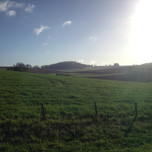 Oja...Goedemorgen Limburg!