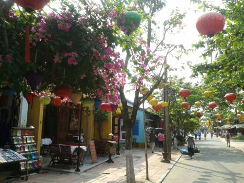 Appje  van de dag komt uit Hoi An...