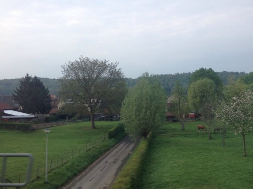 De paarden zijn  ook al van stal