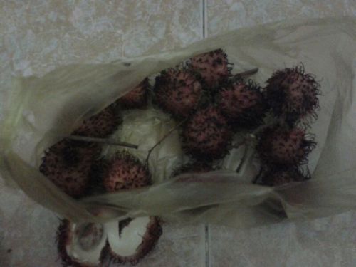 Appje uit Vietnam, het kind is gelukkig met vers fruit