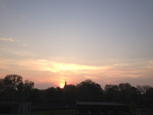 en bij de laatste is de zon eindelijk helemaal verschenen. Tussen de eerste en de laatste zitten er nog 17. Ik zei toch, veel te veel foto´s vandaag