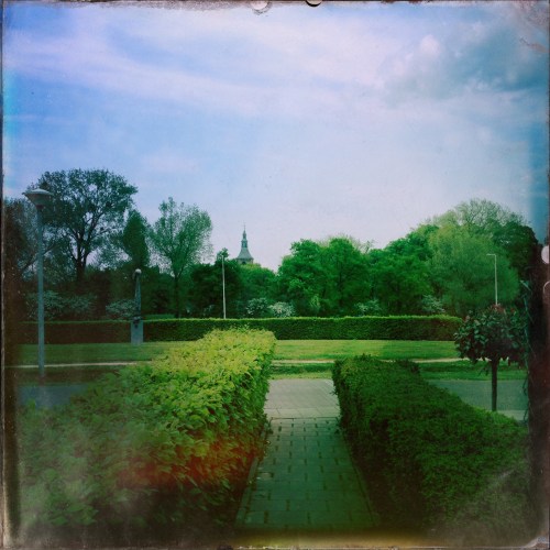 Ik loop naar huis en vergeet foto's te maken dus maak ik later nog een extra rondje. Alles voor de foto's, je moet er iets voor over hebben.